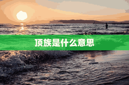 顶族是什么意思